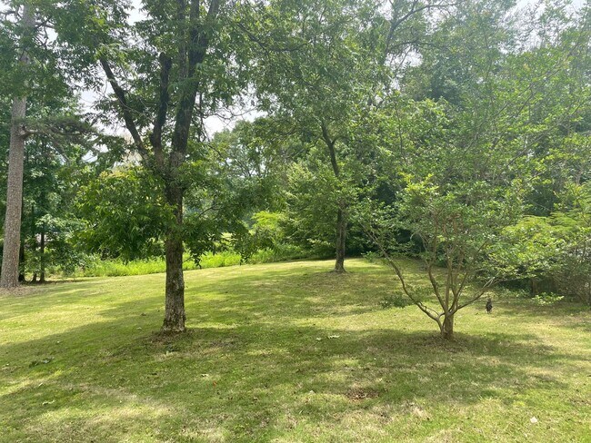 Building Photo - 3785 Pop Stone Cir