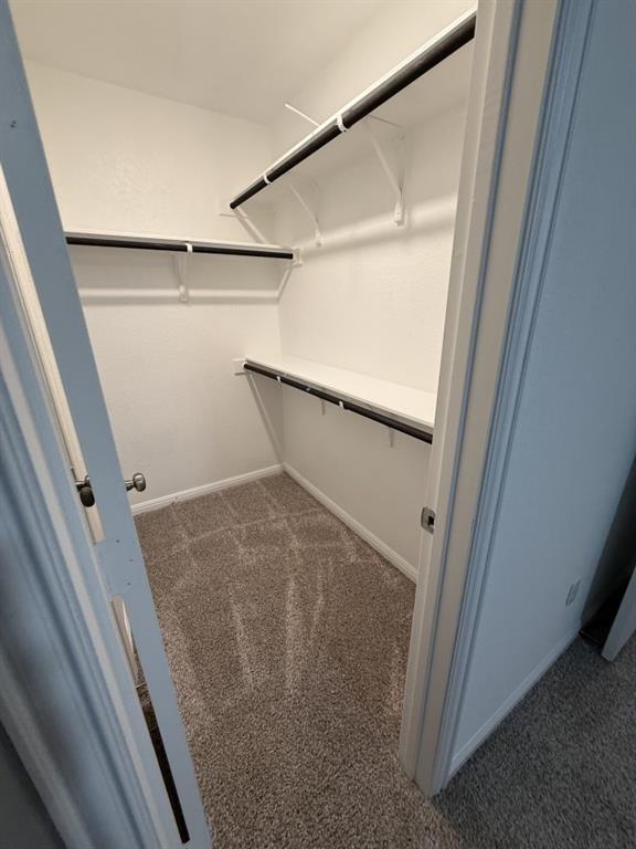 Building Photo - 160 Venti Cove