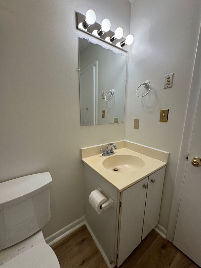 Building Photo - Black Mountain - Newly Renovated 3 Bedroom