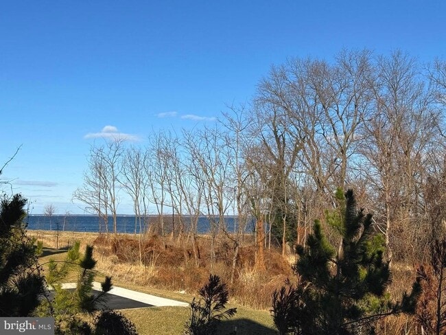 Building Photo - 907 Auckland Way