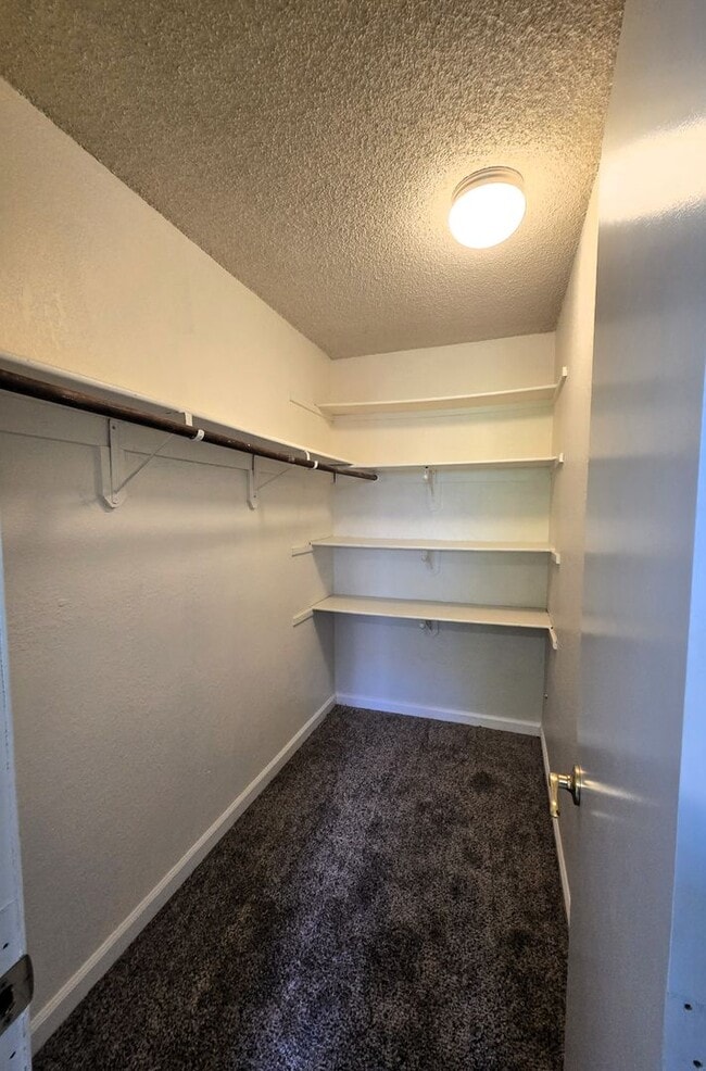 Building Photo - 2065 Colt Dr