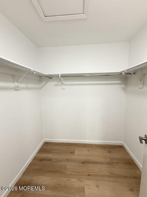 Building Photo - 166 Cross Slope Ct