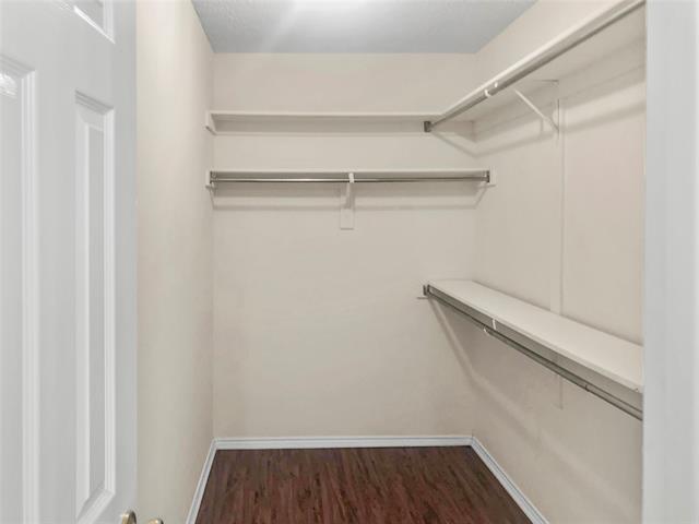 Building Photo - 8008 Mourning Dove Dr