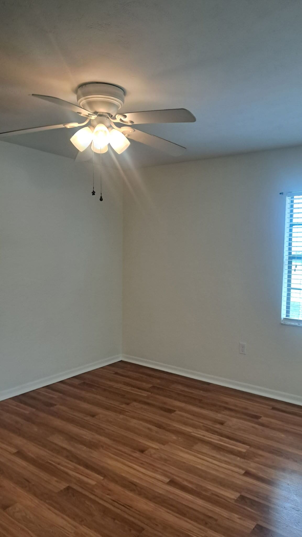 Bedroom 1 - 810 Druid Pl