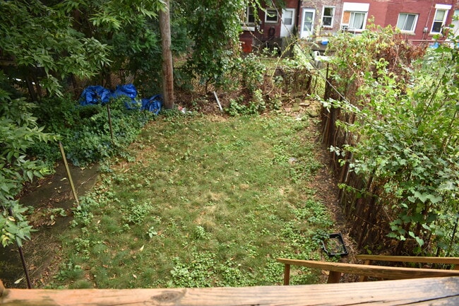 Backyard - 17 Welsford St