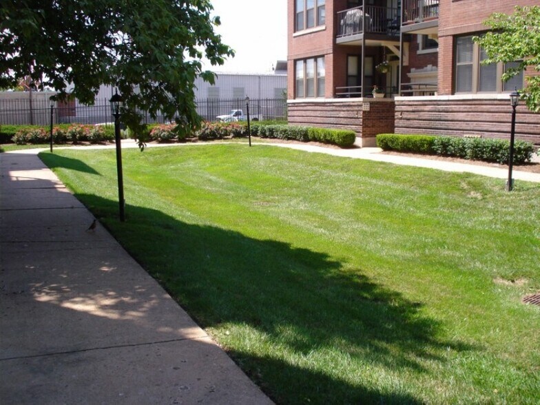 Greenspace/Lawn - 527 Clara Ave