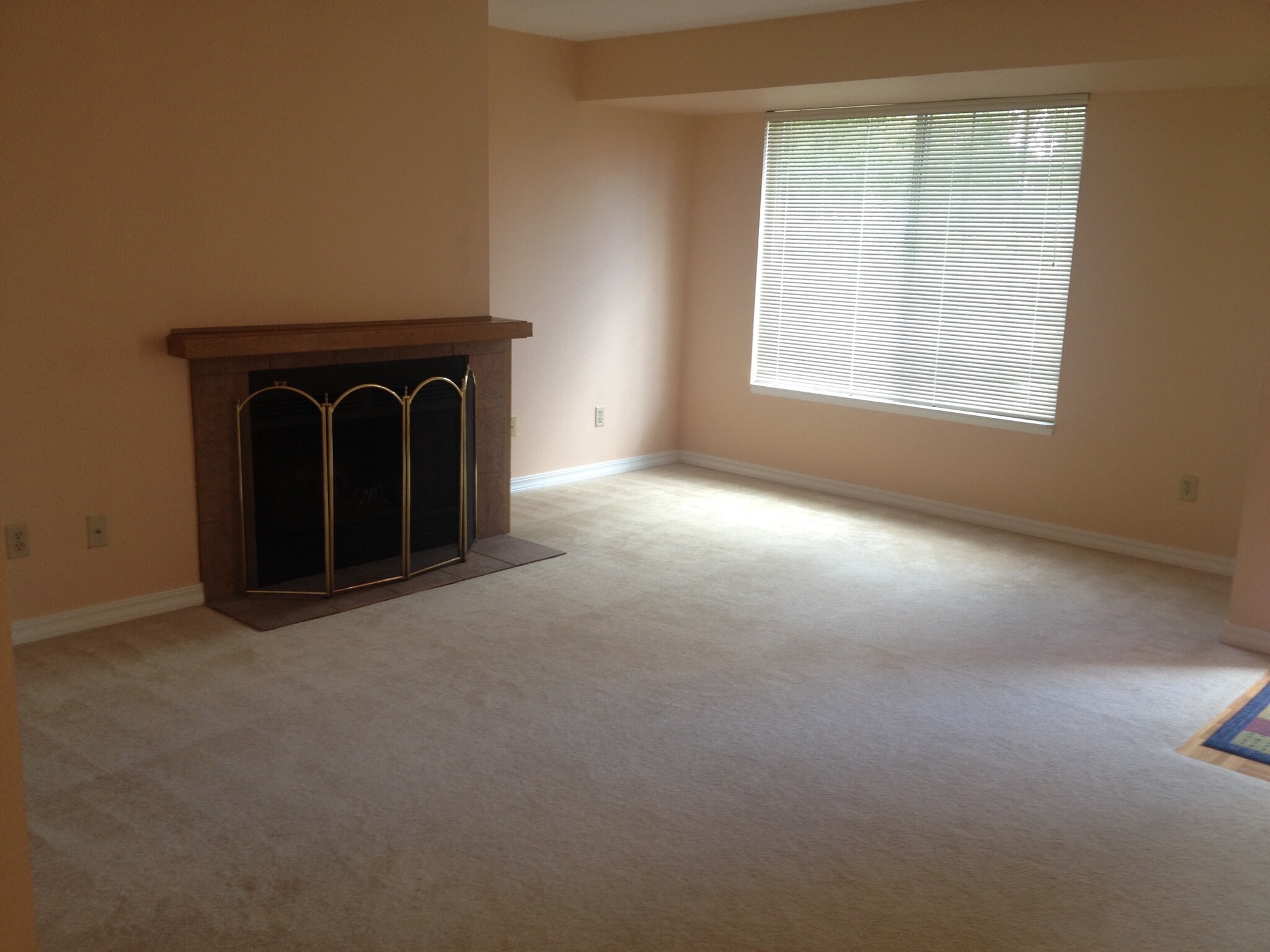 Living Room - 12707 87th Ct NE