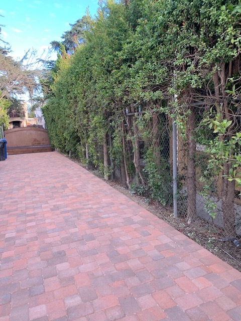 Gated Entry Walkway - 605 N Windsor Blvd