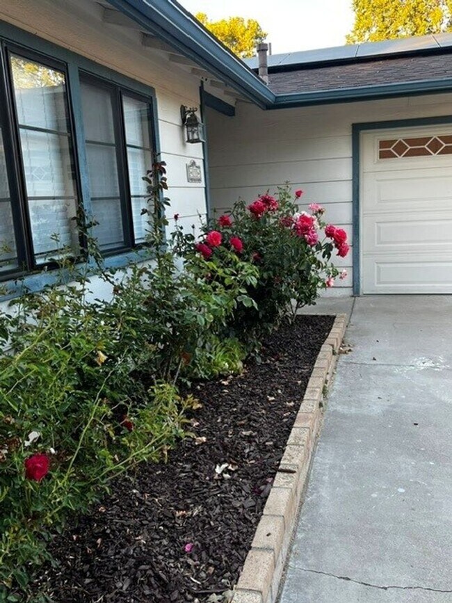 Building Photo - 133 Shadow Mountain Dr