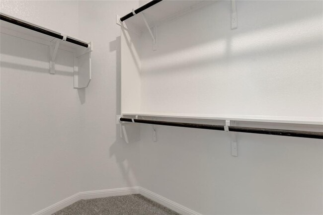 Building Photo - 10716 Timber Brook Pass