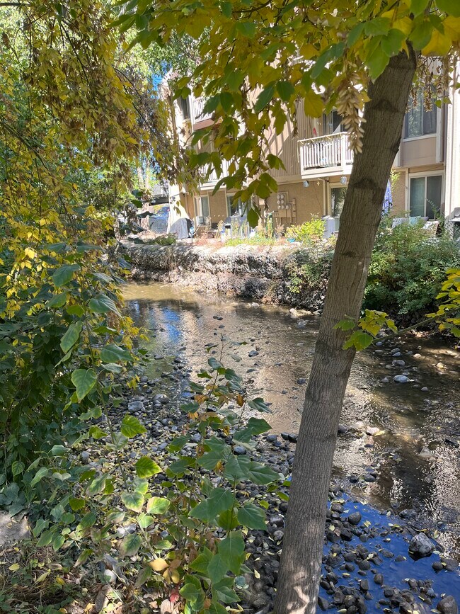 Building Photo - 435 E Creekside Cir