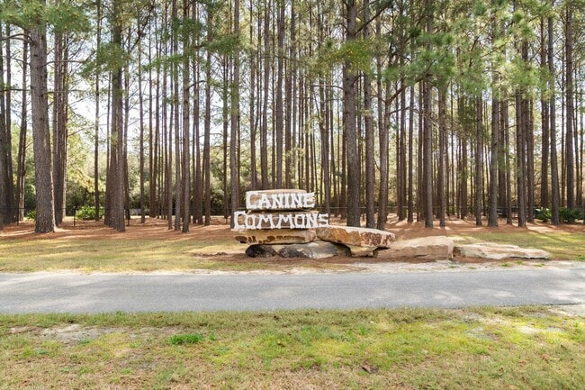 Building Photo - 55 Lightning Bug Ln