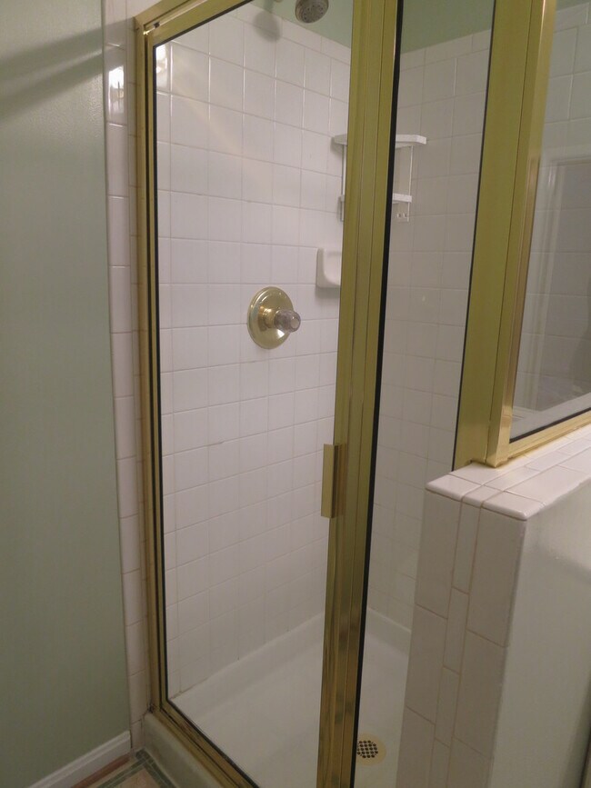 Building Photo - Luxury! Brick Front Townhouse in Longmead