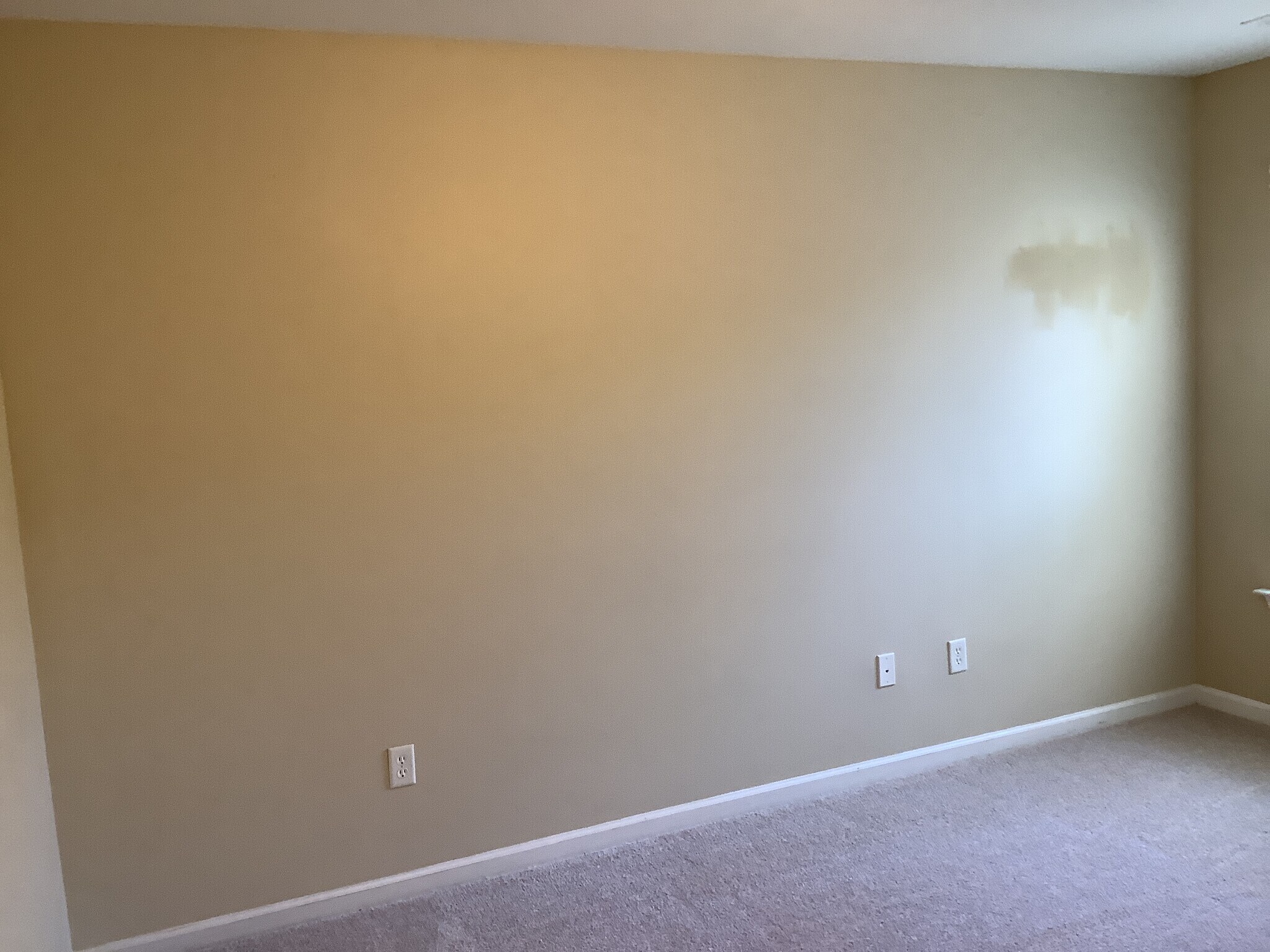 Building Photo - 111 Pin Oak Ct