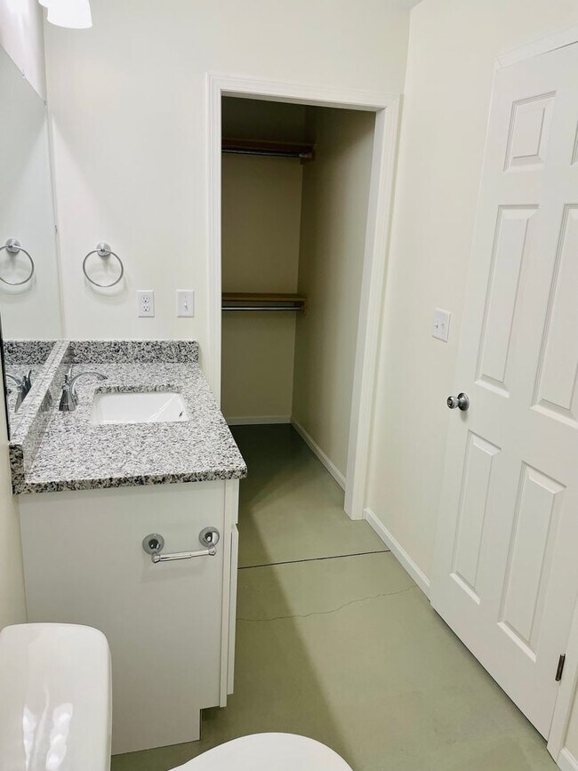 Building Photo - Gorgeous Brand New Townhome $300 OFF FIRST...