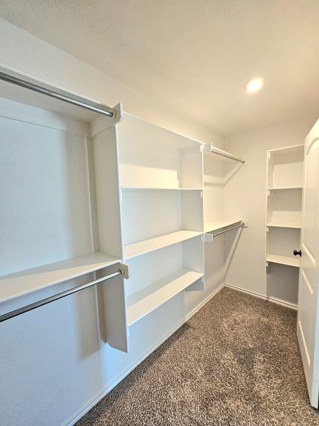 Building Photo - 1804 Rattler Ln