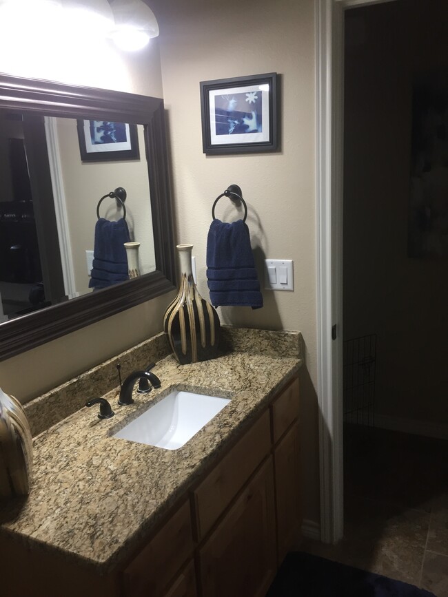 Hall bath - 500 Longhorn Dr