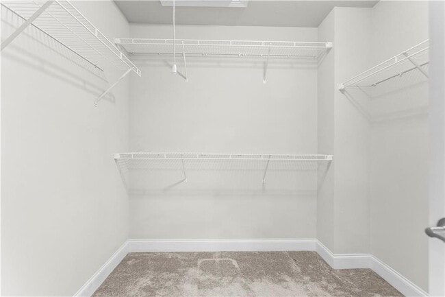 Building Photo - 4138 Butler Dr