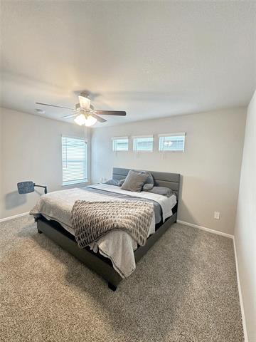Building Photo - 3065 Strawberry Farm Ln