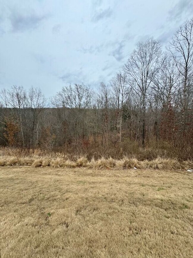 Building Photo - 3BR 2.5BA Home w/Resort Style Amenities at The Mills at Rocky River