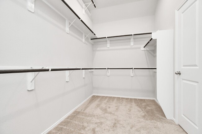 Building Photo - 1242 Muscadine Hollow Ln