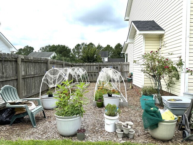 Building Photo - Spacious 4BR/2.5 Bath in the Jacksonville Commons Area