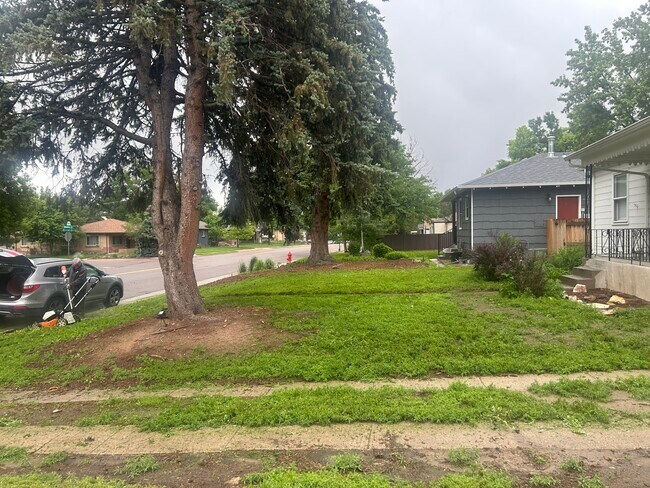 Front yard - 3010 S Downing St