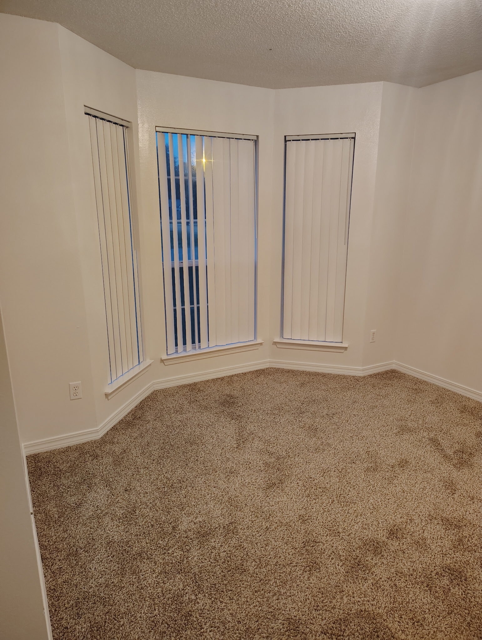 Bedroom #3 / Office - 574 Rough Leaf Ln