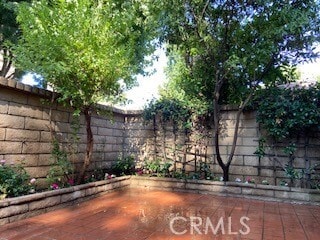 Building Photo - 9870 Paloma Ct