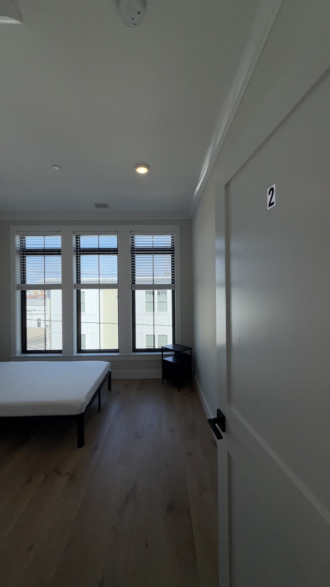 Building Photo - 3 Adamson St