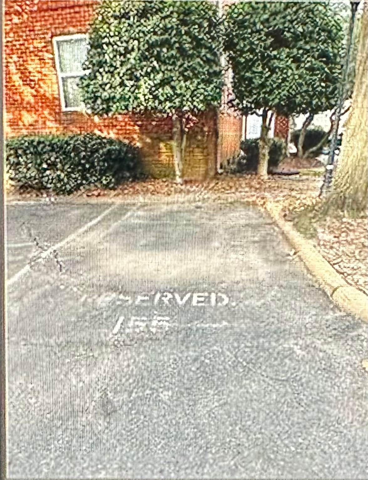 Parking 2 - 103 Westover Ave