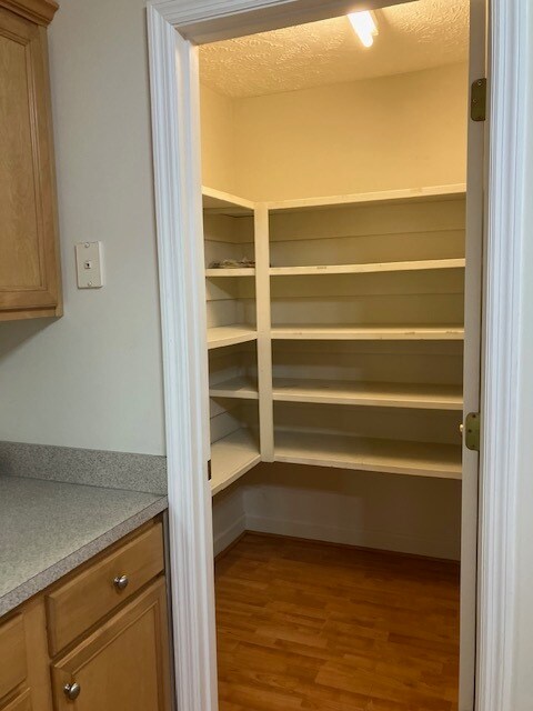 Pantry in Kitchen - 1101 Pine Run Dr