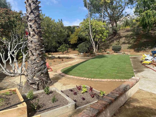 Building Photo - 3333 Vivienda Cir