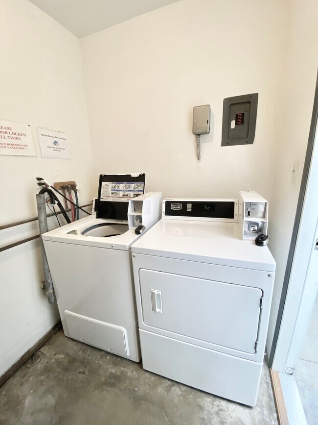 shared laundry room - 517 Pier Ave