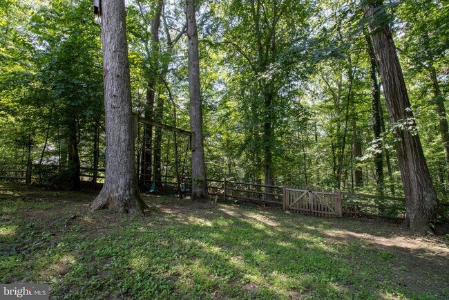 Building Photo - 6277 Occoquan Forest Dr