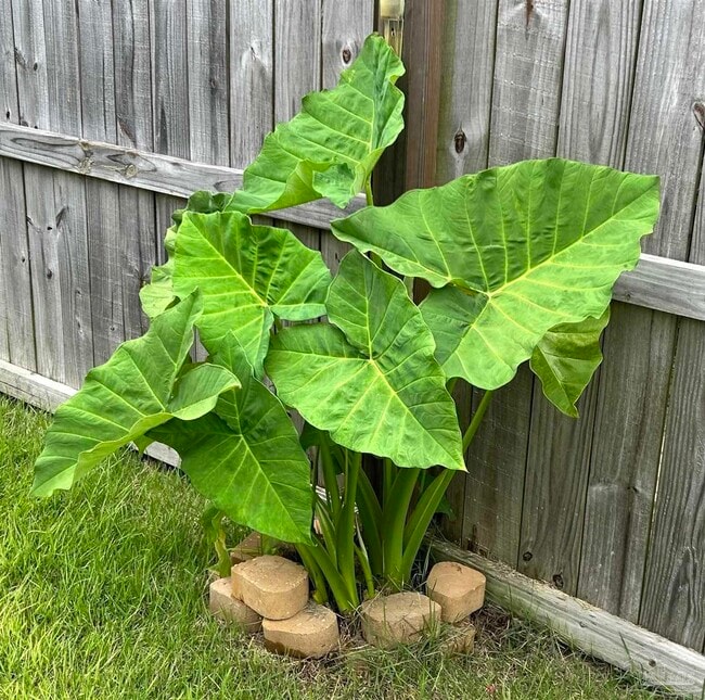 Building Photo - 5761 Danbury Blvd