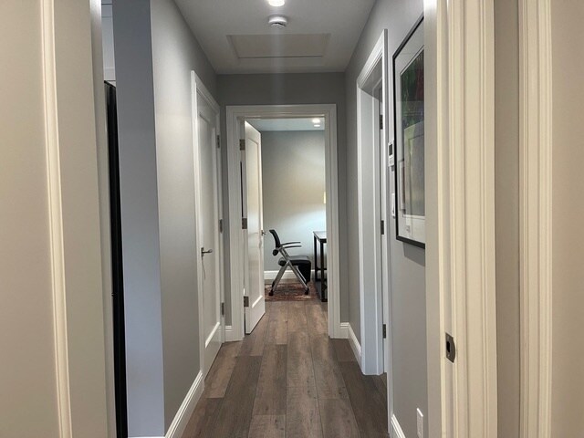Hallway - 843 Southampton Dr