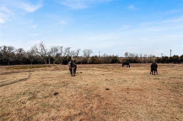 Building Photo - 2381 TX-56