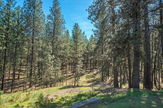 Building Photo - Private 2.5-Acre Country Retreat — Minutes from Downtown Spokane