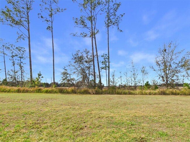 Building Photo - 11411 Cay Spruce Wy