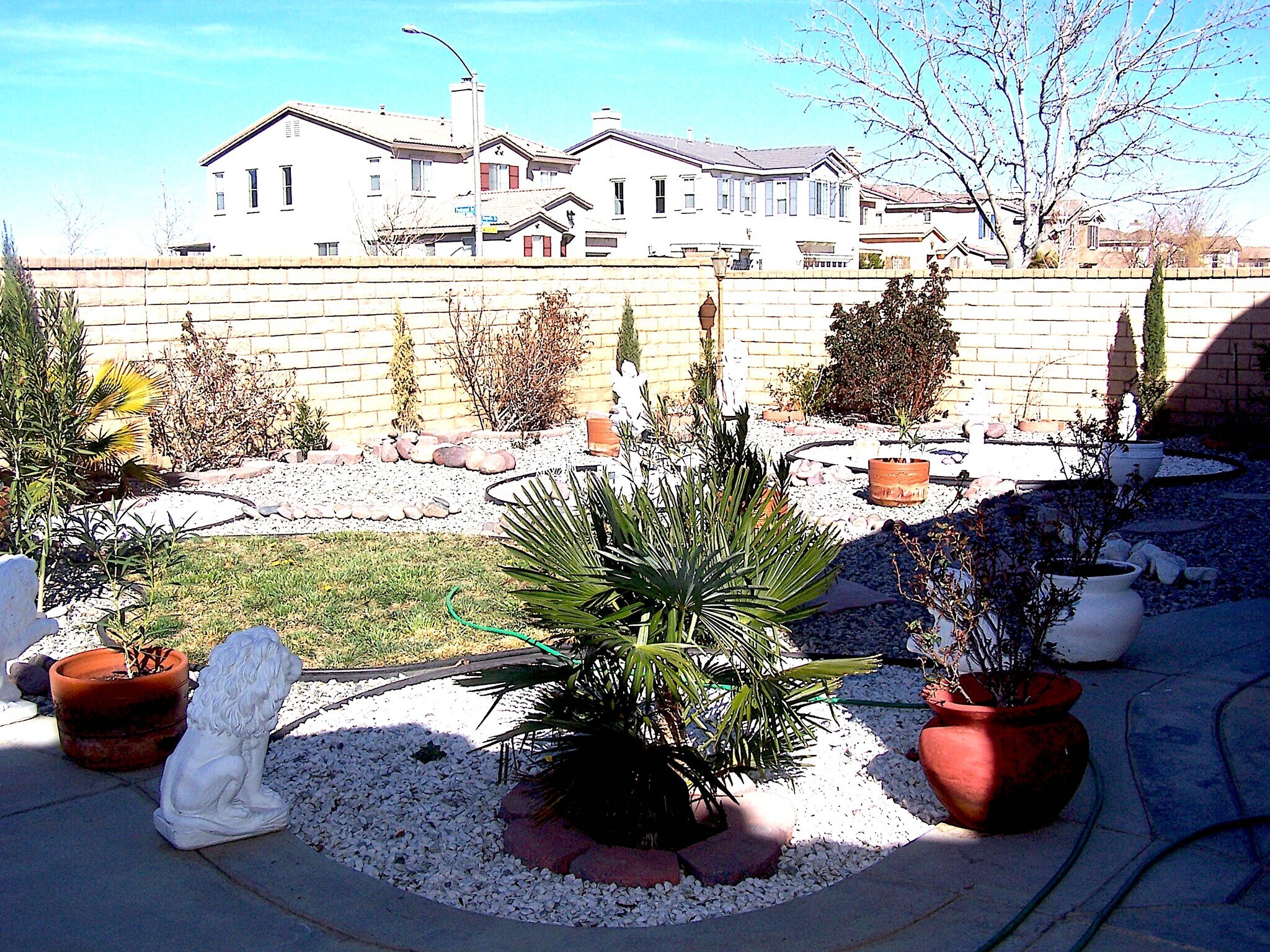 Building Photo - 37815 Banyan Pl