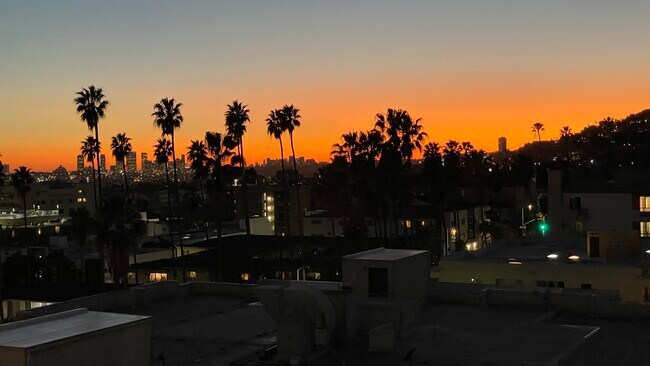 View from Living Room at Sunset - 7135 Hollywood Blvd