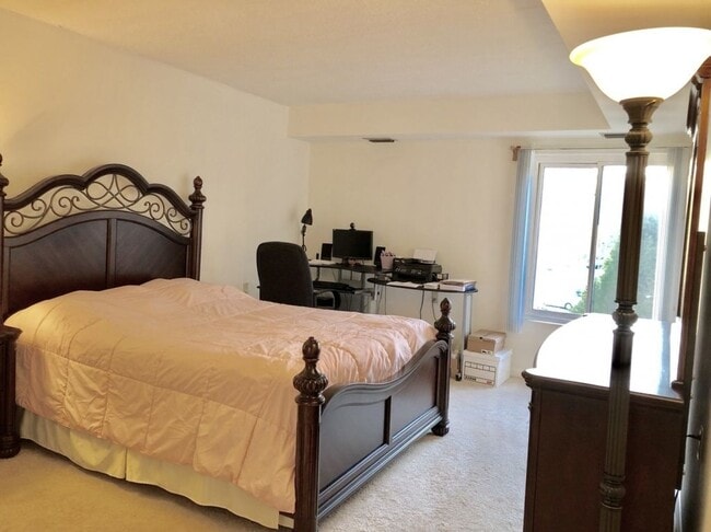 Building Photo - 227 Canal Park Dr