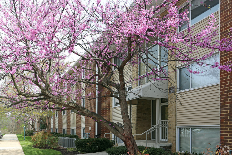 Scenic - Village at Gaithersburg