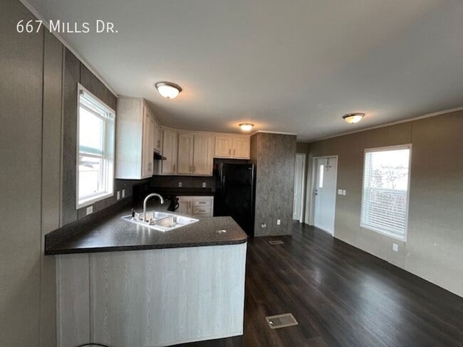 Building Photo - 667 W Mills Dr