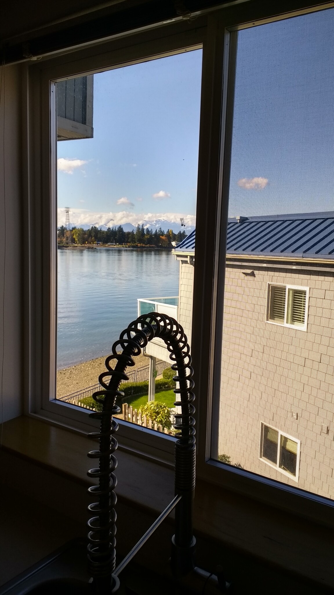 Peek-A-Boo View from Kitchen Window - 1127 Wheaton Way, C-1