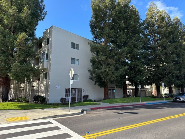 Building Photo - 1 Bed 1 Bath Condo In Walnut Creek