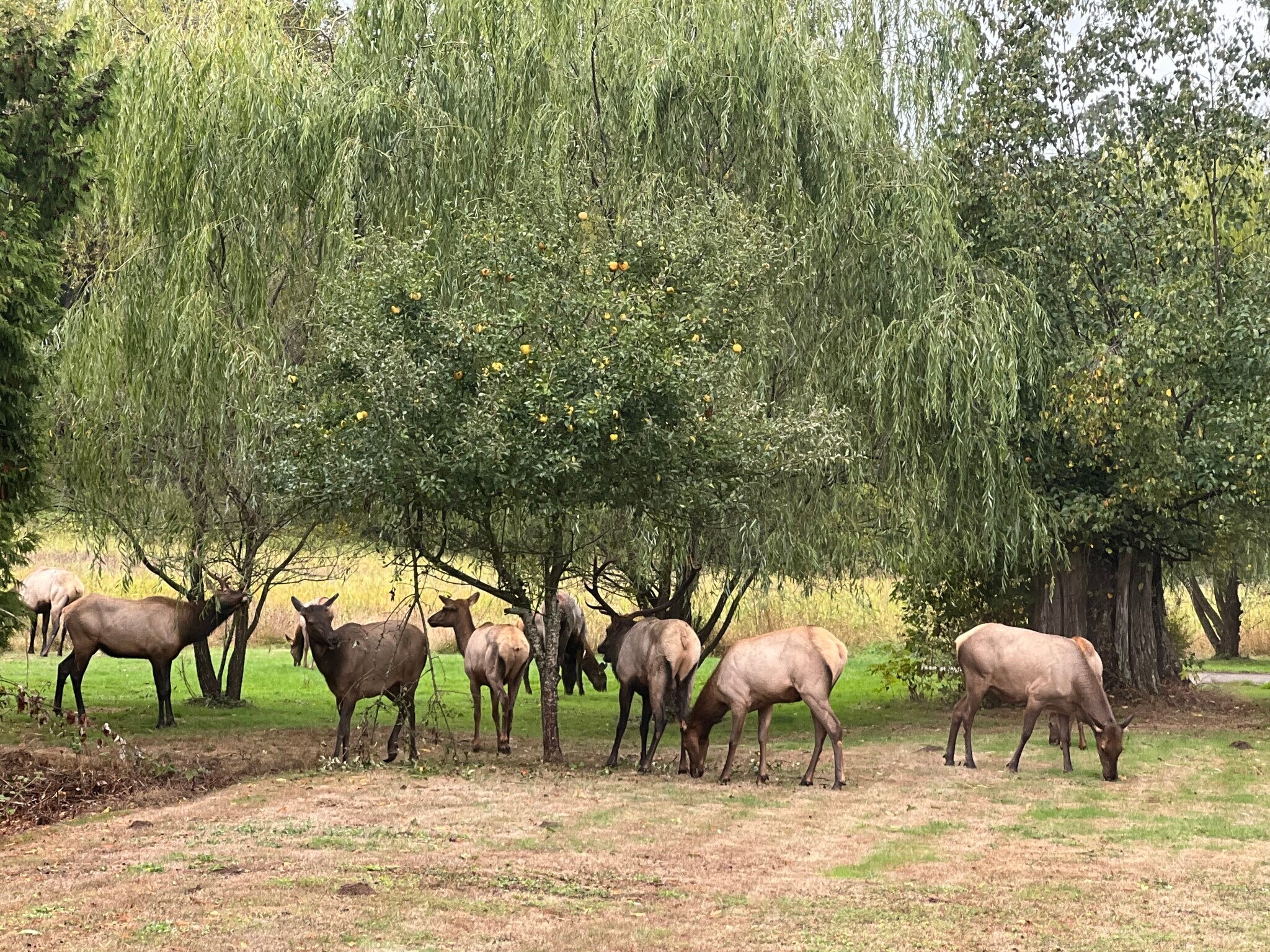 Building Photo - 7728 Alpine Ln