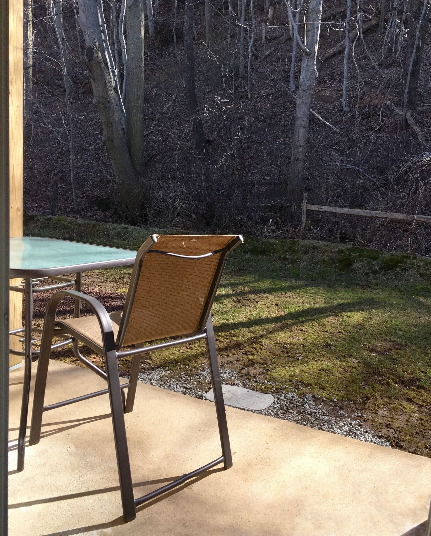 private woods off of patio - 321 -323 Shore Dr