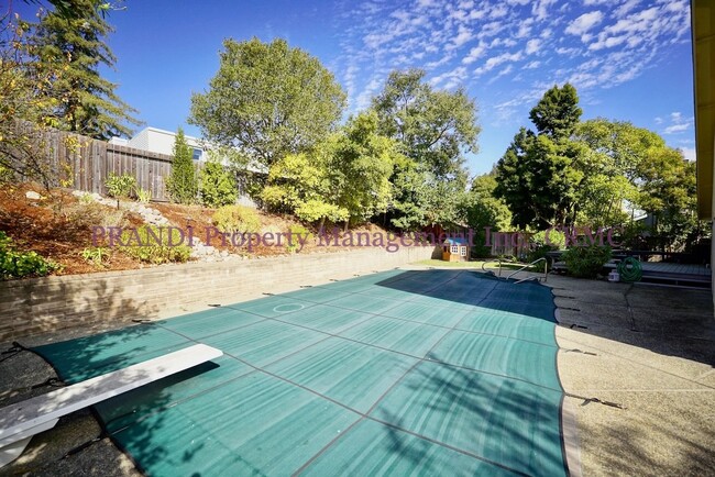 Building Photo - Spacious San Marin Home with Pool!